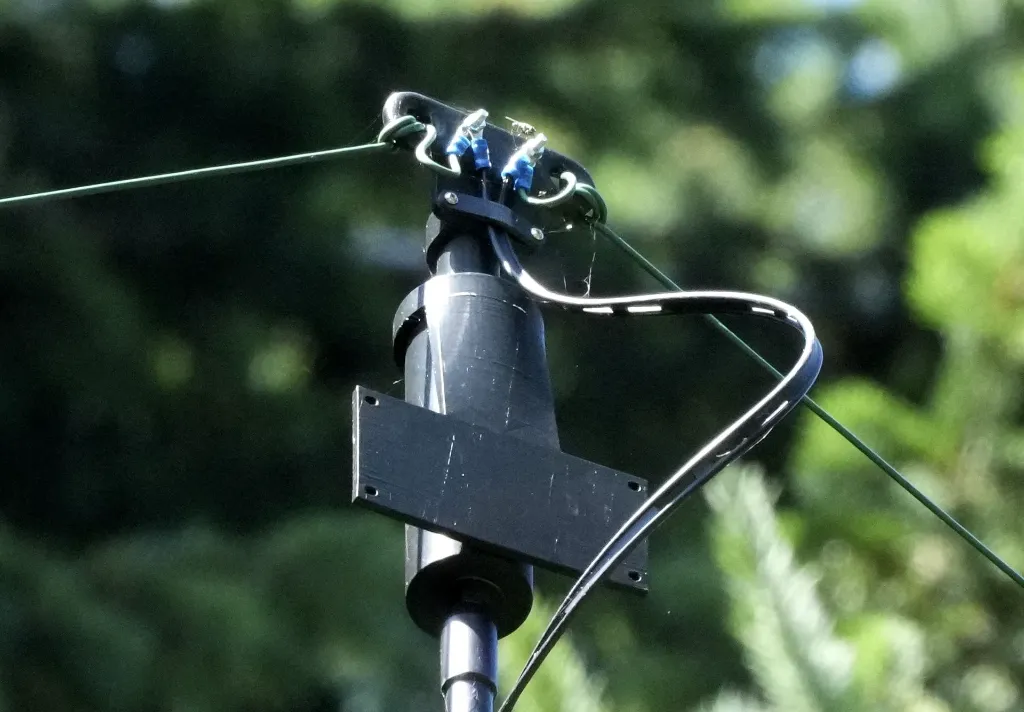 Vane on Jons mast.webp